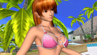 Illustration for article titled A Better Look At The Dead Or Alive Paradise Bikinis